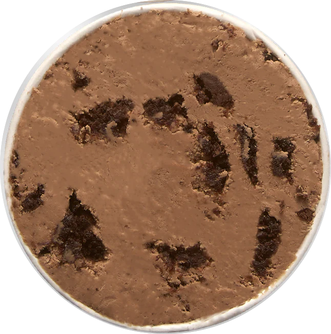 Fudgy Brownie | High-Protein Ice Cream with Zero-Added Sugar & GLP-1 Friendly - Image 5